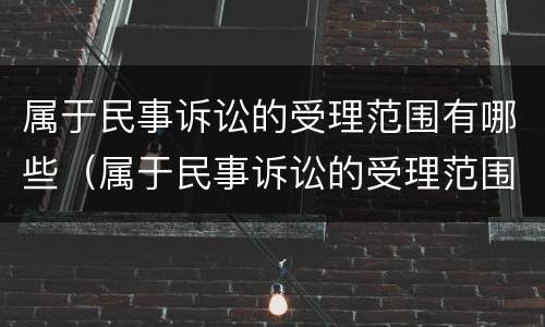 属于民事诉讼的受理范围有哪些（属于民事诉讼的受理范围有哪些）