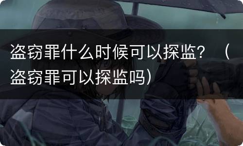 盗窃罪什么时候可以探监？（盗窃罪可以探监吗）