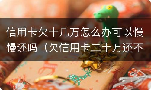 信用卡欠十几万怎么办可以慢慢还吗（欠信用卡二十万还不起,可以慢慢还吗）