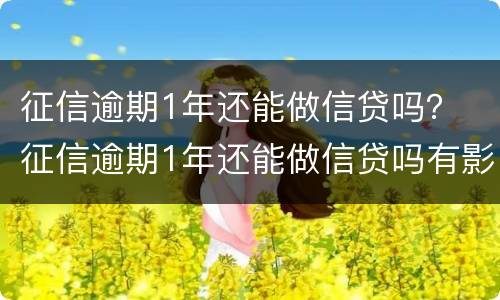 征信逾期1年还能做信贷吗？ 征信逾期1年还能做信贷吗有影响吗