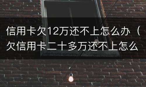 信用卡欠12万还不上怎么办（欠信用卡二十多万还不上怎么办）