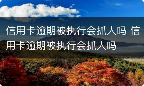 信用卡逾期被执行会抓人吗 信用卡逾期被执行会抓人吗