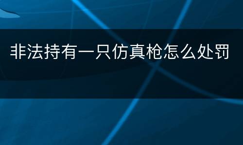 非法持有一只仿真枪怎么处罚