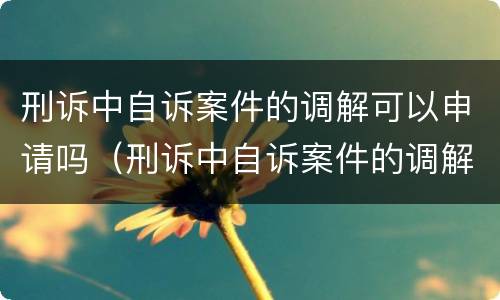 刑诉中自诉案件的调解可以申请吗（刑诉中自诉案件的调解可以申请吗怎么写）