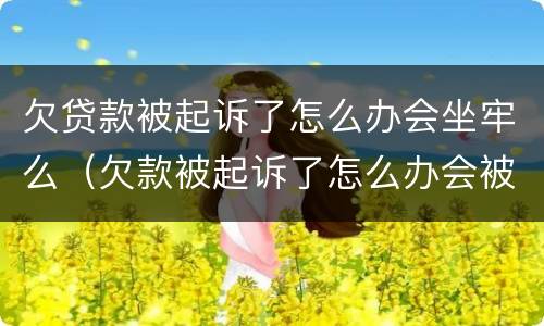 欠贷款被起诉了怎么办会坐牢么（欠款被起诉了怎么办会被判刑吗?）
