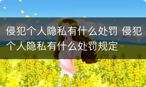 侵犯个人隐私有什么处罚 侵犯个人隐私有什么处罚规定