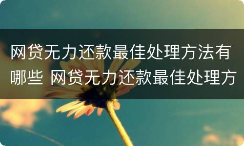 网贷无力还款最佳处理方法有哪些 网贷无力还款最佳处理方法有哪些案例