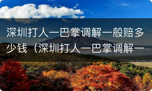 深圳打人一巴掌调解一般赔多少钱（深圳打人一巴掌调解一般赔多少钱啊）