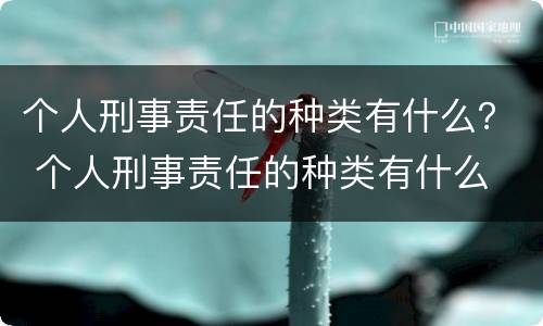 个人刑事责任的种类有什么？ 个人刑事责任的种类有什么