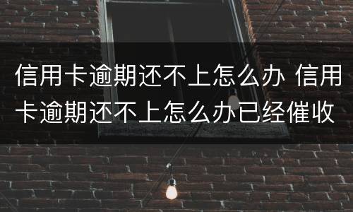 信用卡逾期还不上怎么办 信用卡逾期还不上怎么办已经催收了