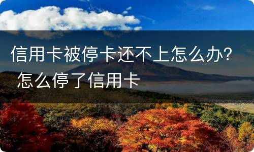信用卡被停卡还不上怎么办？ 怎么停了信用卡