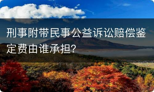 刑事附带民事公益诉讼赔偿鉴定费由谁承担？