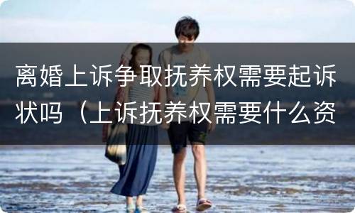 离婚上诉争取抚养权需要起诉状吗（上诉抚养权需要什么资料）