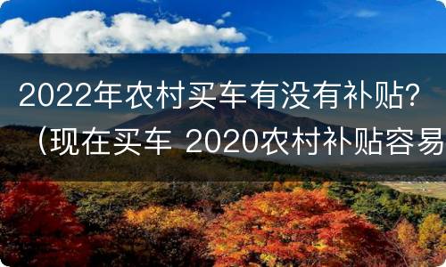 2022年农村买车有没有补贴？（现在买车 2020农村补贴容易拿到吗）