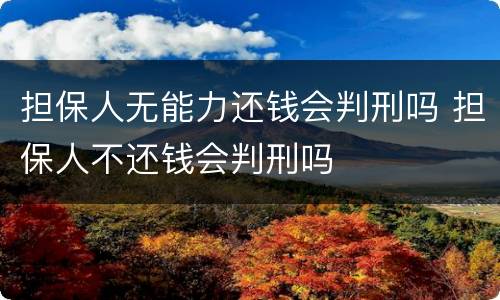 担保人无能力还钱会判刑吗 担保人不还钱会判刑吗