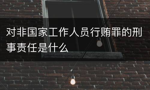对非国家工作人员行贿罪的刑事责任是什么