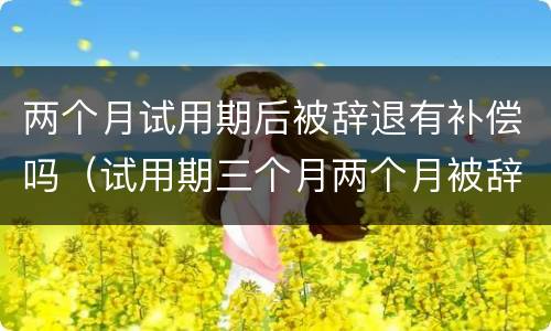 两个月试用期后被辞退有补偿吗（试用期三个月两个月被辞退怎么补偿）