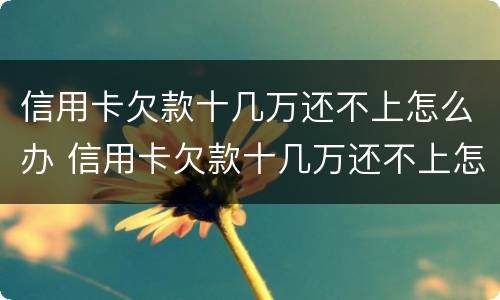 信用卡欠款十几万还不上怎么办 信用卡欠款十几万还不上怎么办呀