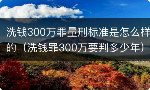洗钱300万罪量刑标准是怎么样的（洗钱罪300万要判多少年）