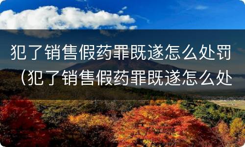 犯了销售假药罪既遂怎么处罚（犯了销售假药罪既遂怎么处罚呢）