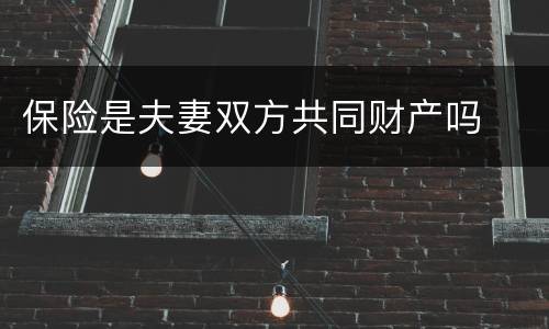 保险是夫妻双方共同财产吗