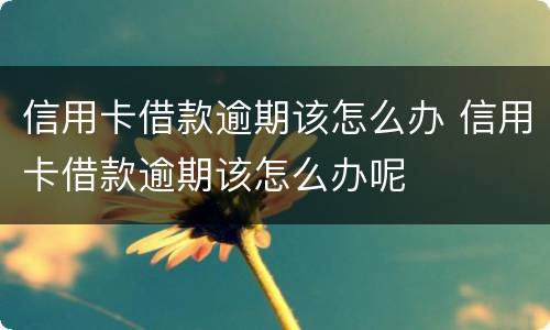 信用卡借款逾期该怎么办 信用卡借款逾期该怎么办呢