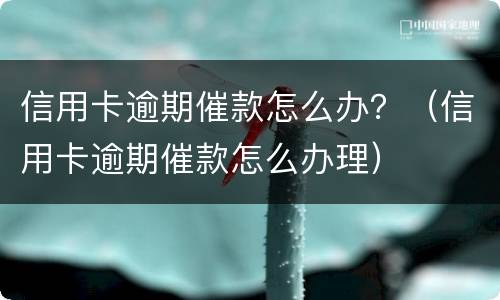 信用卡逾期催款怎么办？（信用卡逾期催款怎么办理）