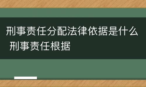 刑事责任分配法律依据是什么 刑事责任根据