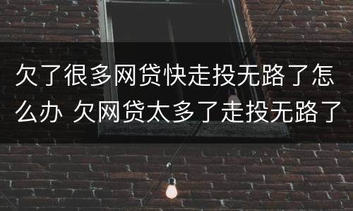 欠了很多网贷快走投无路了怎么办 欠网贷太多了走投无路了怎么办