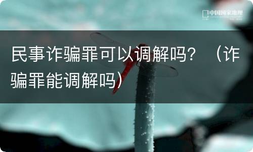 民事诈骗罪可以调解吗？（诈骗罪能调解吗）