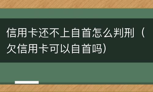 信用卡还不上自首怎么判刑（欠信用卡可以自首吗）