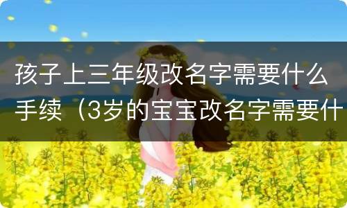 孩子上三年级改名字需要什么手续（3岁的宝宝改名字需要什么手续）