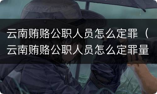 云南贿赂公职人员怎么定罪（云南贿赂公职人员怎么定罪量刑标准）
