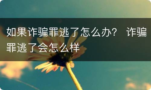 如果诈骗罪逃了怎么办？ 诈骗罪逃了会怎么样