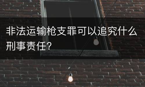 非法运输枪支罪可以追究什么刑事责任?