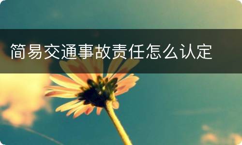 简易交通事故责任怎么认定