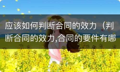 应该如何判断合同的效力（判断合同的效力,合同的要件有哪些）