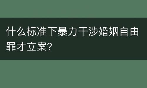 什么标准下暴力干涉婚姻自由罪才立案？