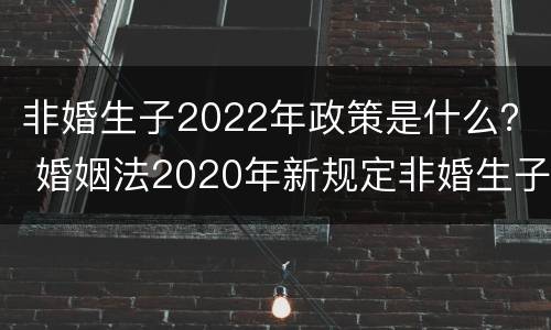 非婚生子2022年政策是什么？ 婚姻法2020年新规定非婚生子