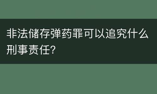 非法储存弹药罪可以追究什么刑事责任？