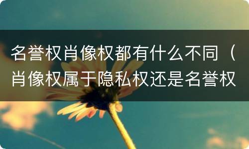 名誉权肖像权都有什么不同（肖像权属于隐私权还是名誉权）