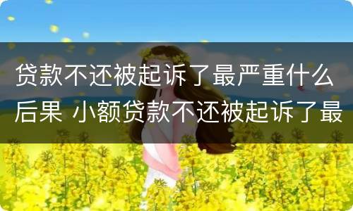贷款不还被起诉了最严重什么后果 小额贷款不还被起诉了最严重什么后果