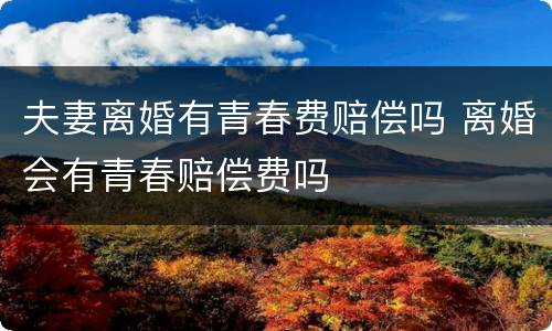 夫妻离婚有青春费赔偿吗 离婚会有青春赔偿费吗