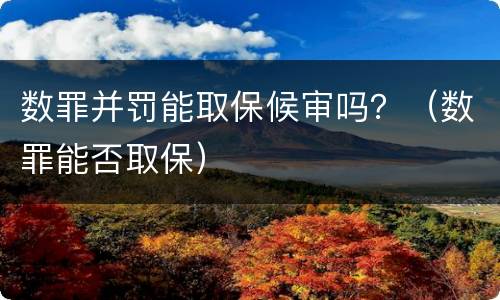 数罪并罚能取保候审吗？（数罪能否取保）