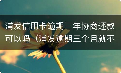 浦发信用卡逾期三年协商还款可以吗（浦发逾期三个月就不能协商还款了吗?）