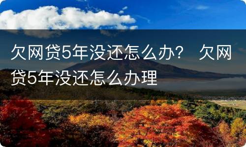 欠网贷5年没还怎么办？ 欠网贷5年没还怎么办理