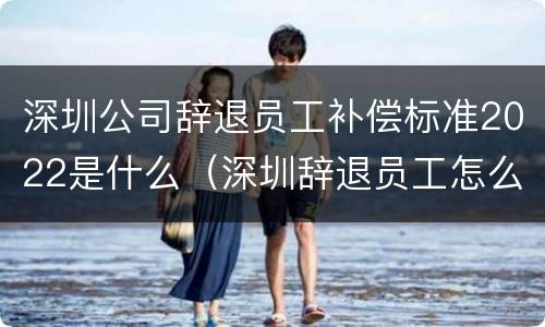 深圳公司辞退员工补偿标准2022是什么（深圳辞退员工怎么补偿）