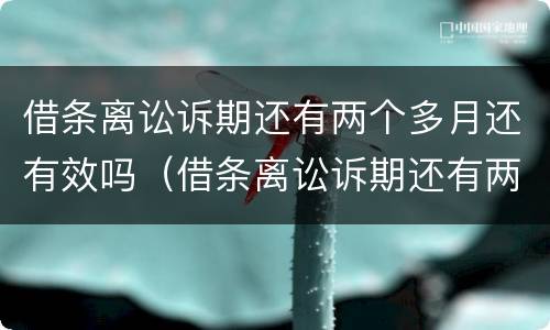 借条离讼诉期还有两个多月还有效吗（借条离讼诉期还有两个多月还有效吗怎么写）