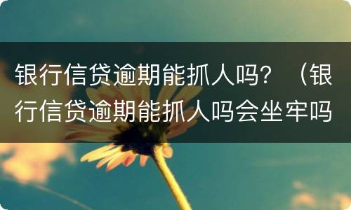 银行信贷逾期能抓人吗？（银行信贷逾期能抓人吗会坐牢吗）