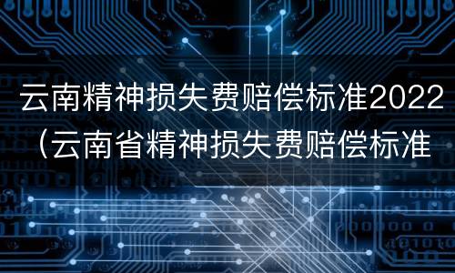 云南精神损失费赔偿标准2022（云南省精神损失费赔偿标准2020）